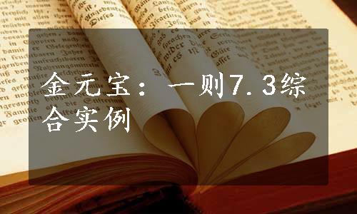 金元宝：一则7.3综合实例