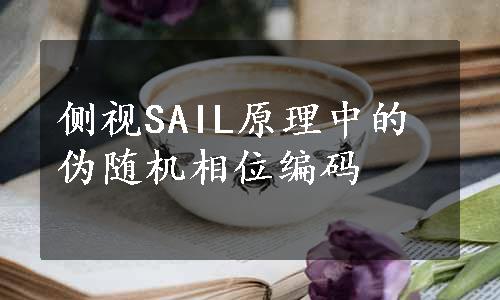 侧视SAIL原理中的伪随机相位编码