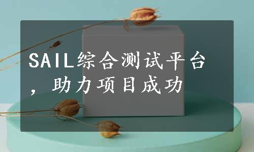 SAIL综合测试平台，助力项目成功