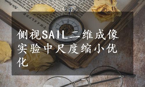 侧视SAIL二维成像实验中尺度缩小优化