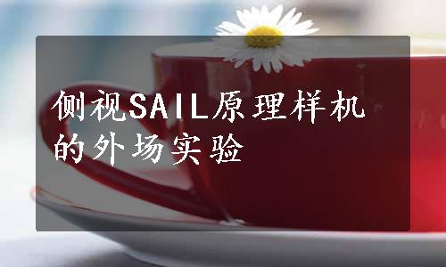 侧视SAIL原理样机的外场实验