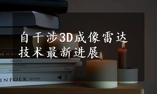 自干涉3D成像雷达技术最新进展