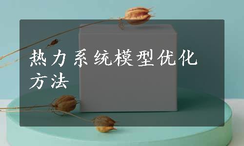 热力系统模型优化方法