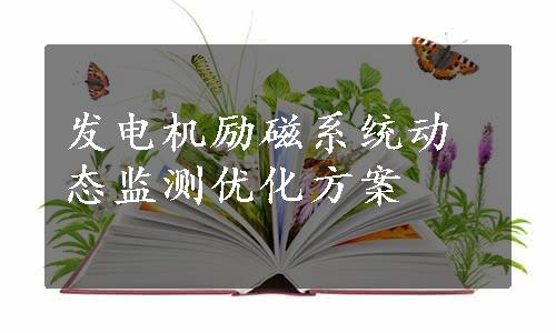 发电机励磁系统动态监测优化方案