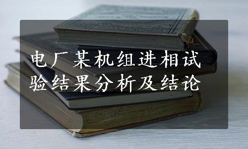 电厂某机组进相试验结果分析及结论