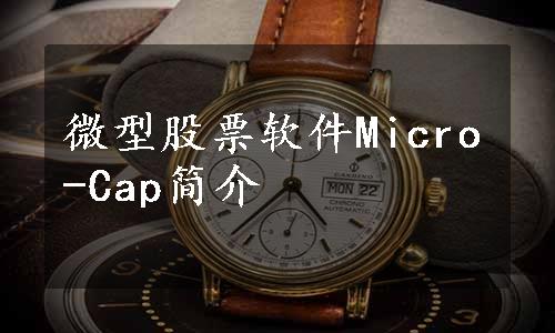 微型股票软件Micro-Cap简介