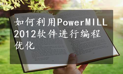 如何利用PowerMILL2012软件进行编程优化