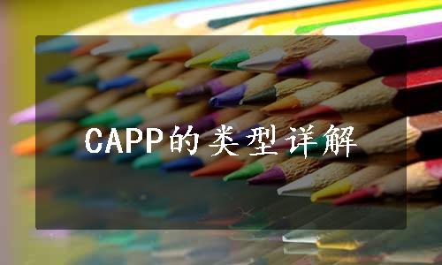 CAPP的类型详解