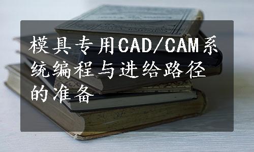 模具专用CAD/CAM系统编程与进给路径的准备