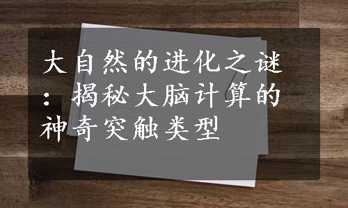 大自然的进化之谜：揭秘大脑计算的神奇突触类型