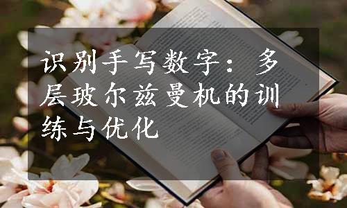 识别手写数字：多层玻尔兹曼机的训练与优化