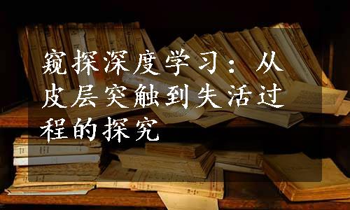 窥探深度学习：从皮层突触到失活过程的探究