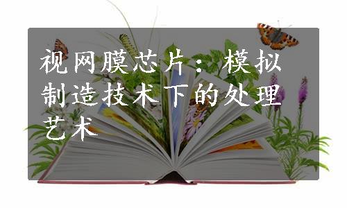 视网膜芯片：模拟制造技术下的处理艺术