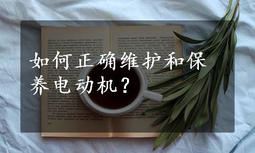 如何正确维护和保养电动机？