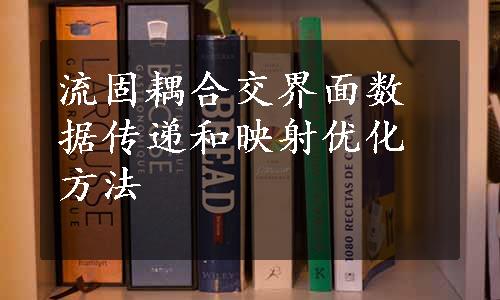 流固耦合交界面数据传递和映射优化方法