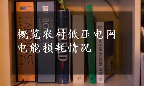 概览农村低压电网电能损耗情况