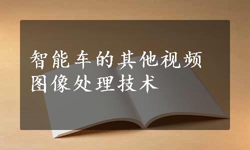 智能车的其他视频图像处理技术