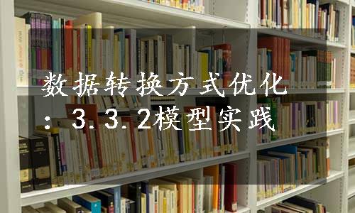 数据转换方式优化：3.3.2模型实践