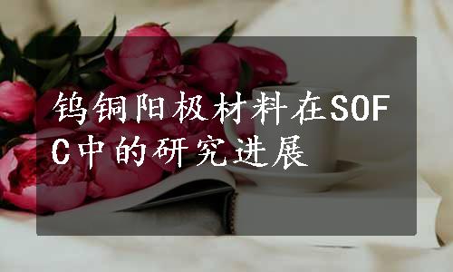 钨铜阳极材料在SOFC中的研究进展