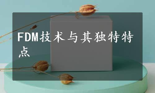 FDM技术与其独特特点