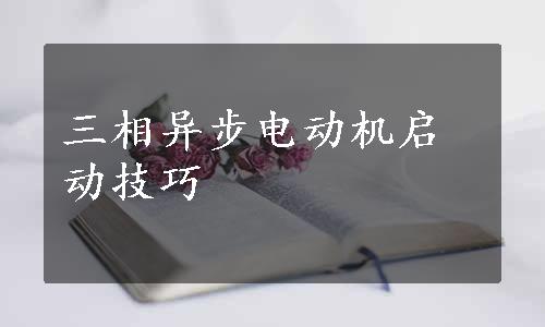 三相异步电动机启动技巧