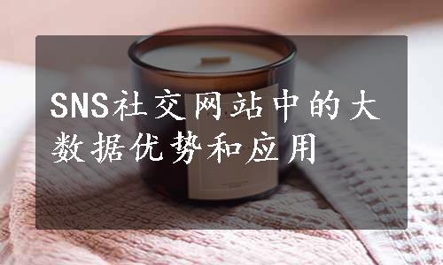 SNS社交网站中的大数据优势和应用