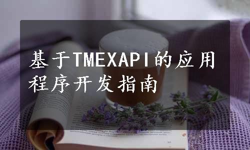 基于TMEXAPI的应用程序开发指南