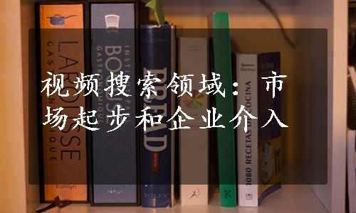 视频搜索领域：市场起步和企业介入