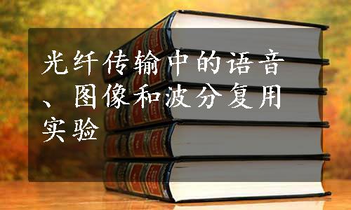 光纤传输中的语音、图像和波分复用实验