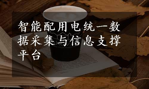 智能配用电统一数据采集与信息支撑平台