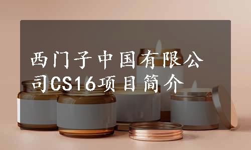 西门子中国有限公司CS16项目简介