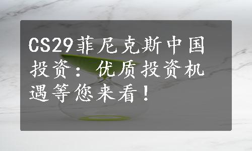 CS29菲尼克斯中国投资：优质投资机遇等您来看！