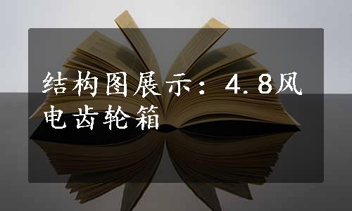 结构图展示：4.8风电齿轮箱