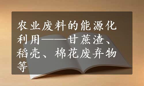 农业废料的能源化利用——甘蔗渣、稻壳、棉花废弃物等