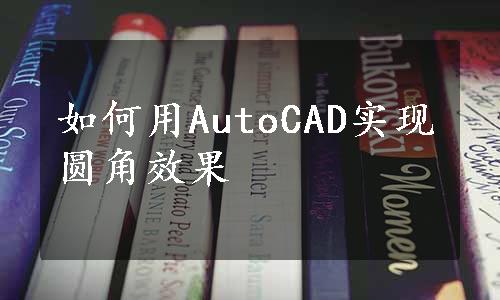 如何用AutoCAD实现圆角效果