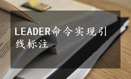 LEADER命令实现引线标注