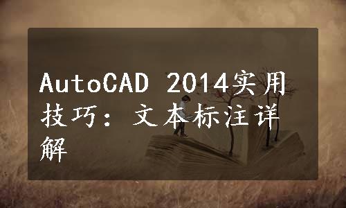 AutoCAD 2014实用技巧：文本标注详解