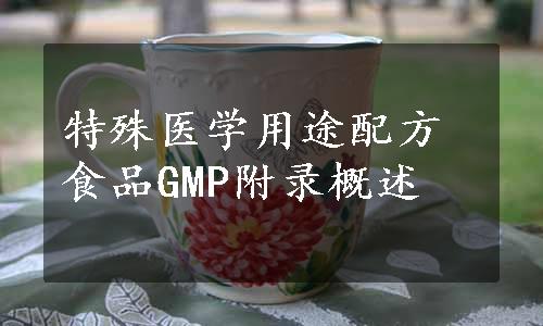 特殊医学用途配方食品GMP附录概述