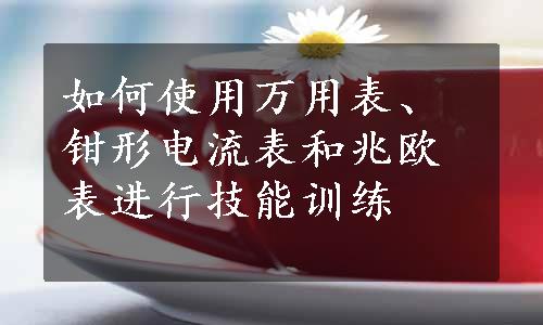 如何使用万用表、钳形电流表和兆欧表进行技能训练