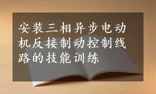 安装三相异步电动机反接制动控制线路的技能训练