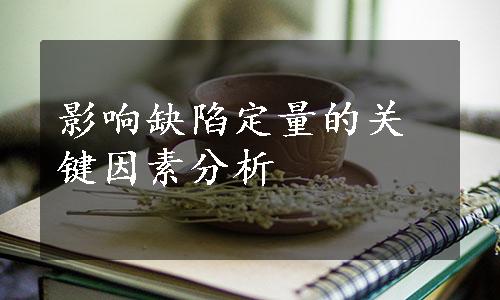 影响缺陷定量的关键因素分析