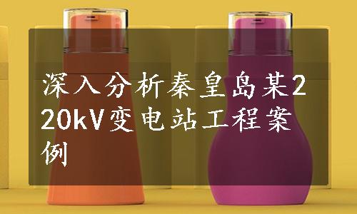 深入分析秦皇岛某220kV变电站工程案例