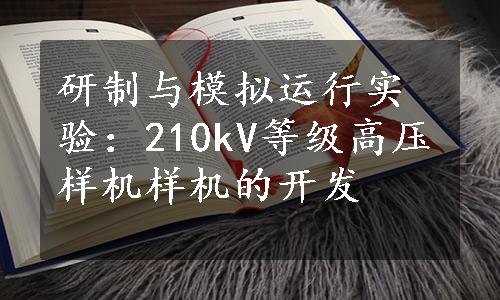 研制与模拟运行实验：210kV等级高压样机样机的开发