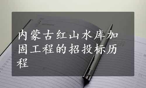 内蒙古红山水库加固工程的招投标历程