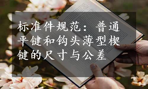 标准件规范：普通平键和钩头薄型楔键的尺寸与公差