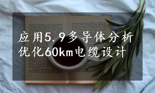 应用5.9多导体分析优化60km电缆设计