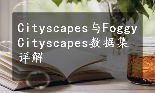 Cityscapes与FoggyCityscapes数据集详解