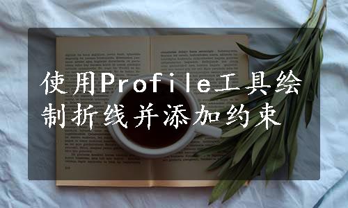 使用Profile工具绘制折线并添加约束