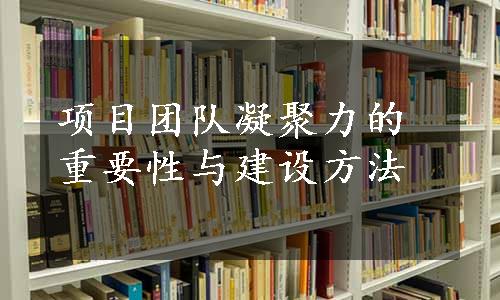 项目团队凝聚力的重要性与建设方法