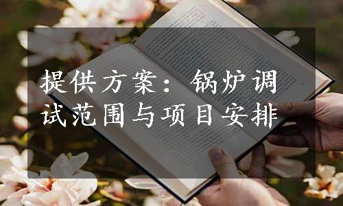 提供方案：锅炉调试范围与项目安排